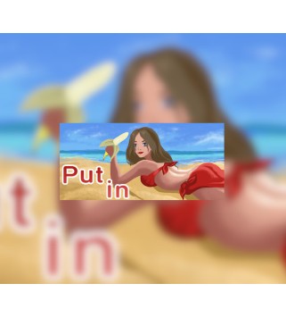 Put in Steam Key GLOBAL